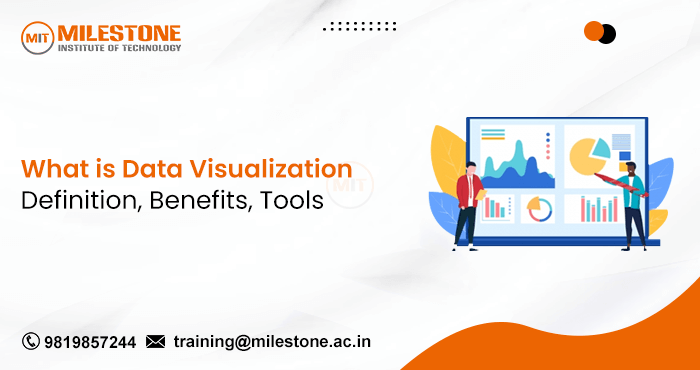 What is Data Visualization: Definition, Benefits, Tools